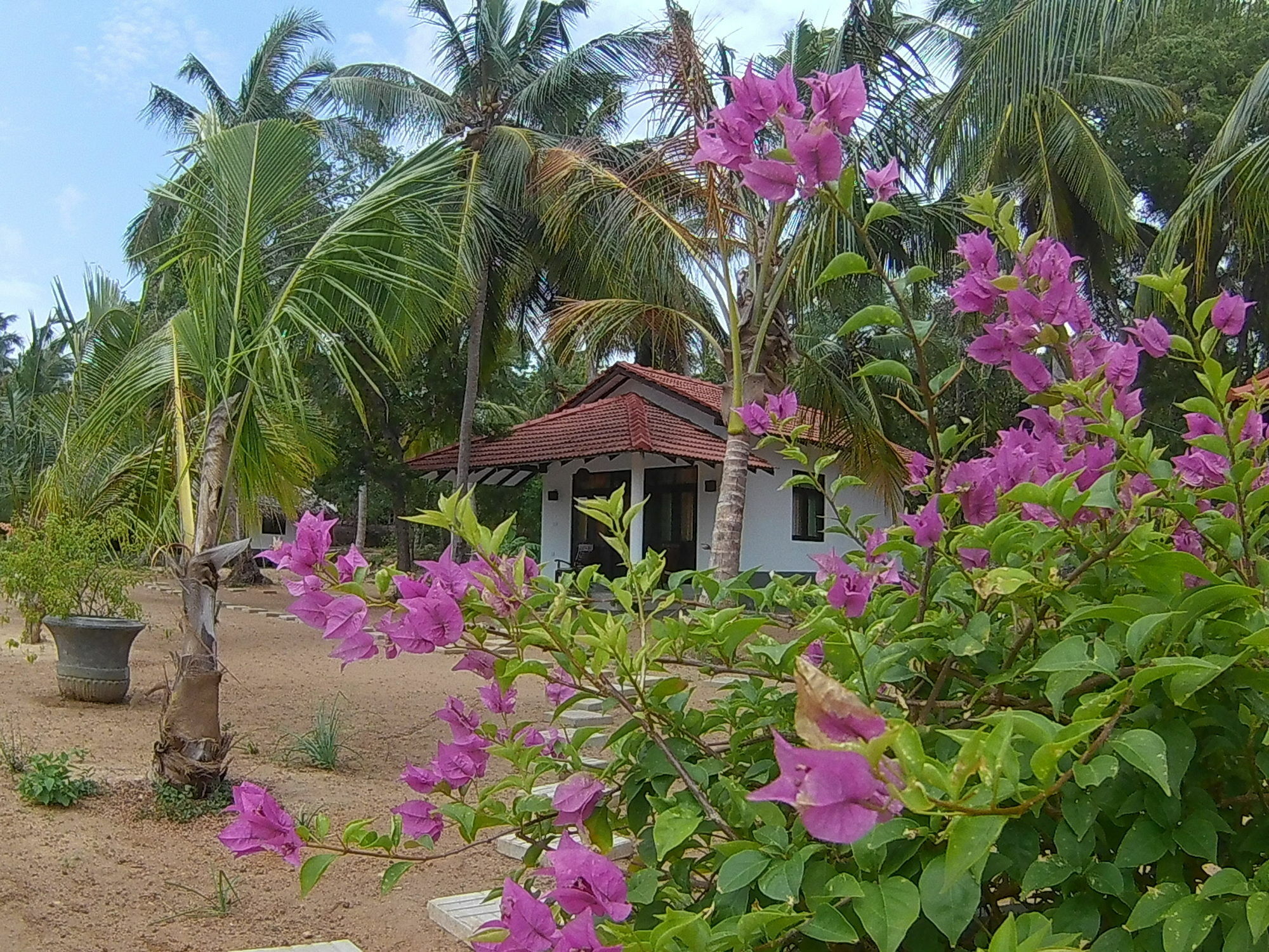 Chillenjoy Cabanas & Restaurant Hotel Tangalle Exterior foto