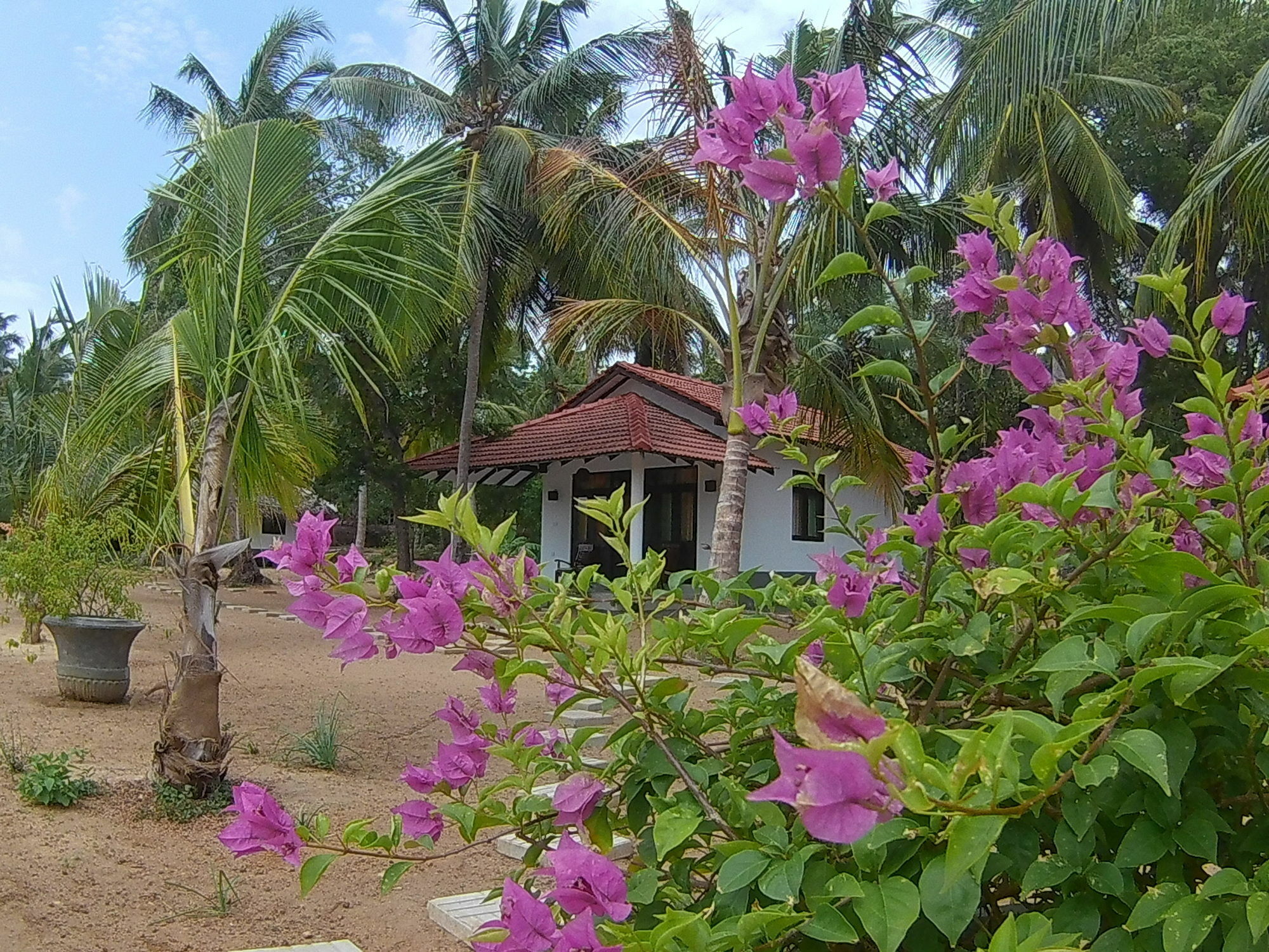Chillenjoy Cabanas & Restaurant Tangalle Exterior foto
